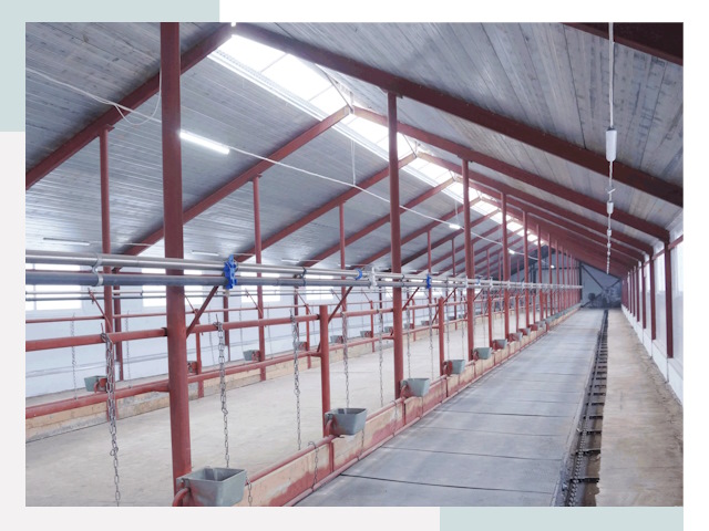 Строительство коровников в Лыткарино от 615 руб.