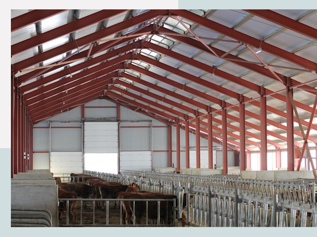 Строительство коровников в Лыткарино