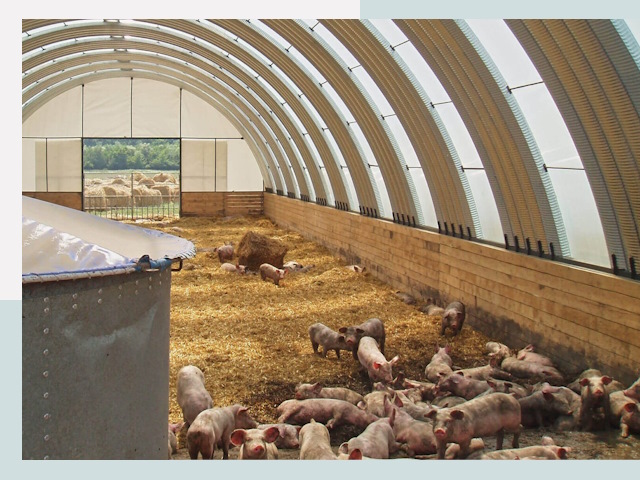 Строительство свинарников в Лыткарино