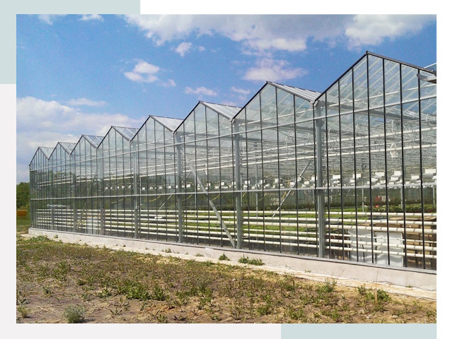 Строительство теплиц в Лыткарино от 615 руб. за м²