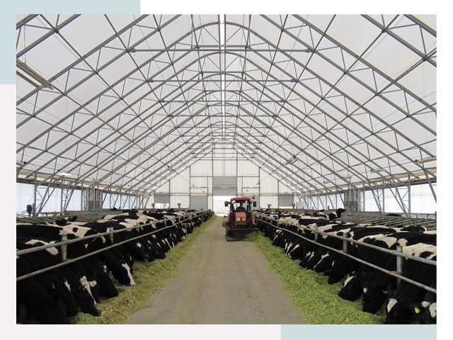 Тентовые коровники в Лыткарино от 615 руб. - Надежно и доступно