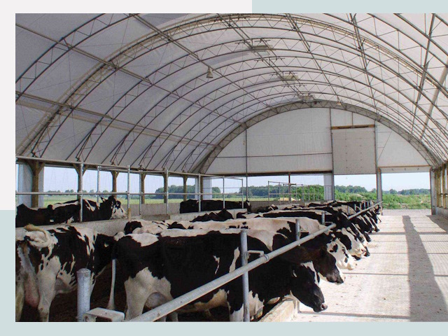 Тентовые коровники в Лыткарино