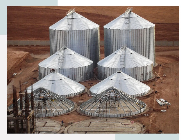 Строительство зерновых силосов в Лыткарино